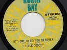 LITTLE DOOLEY it's now or never 45 beautiful CROSSOVER northern soul HEAR ?