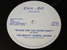 THE MIGHTY GOSPEL SEVEN Where Are You Going Mary Vinyl BLACK GOSPEL Walter Ross