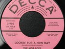 The Mor-Loks - What My Baby Wants/Lookin For A New Day- Decca 31950- Promo- Hear
