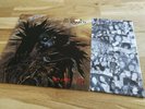 PROTECTOR - URM THE MAD / 89 DE LP / OIS / DEATH METAL / ATOM