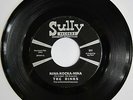 The DINKS: Nina-Kocka-Nina / Penny A Tear Drop -- M- Sully 60s Garage Punk