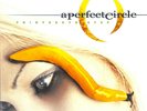 A Perfect Circle - Thirteenth Step Music On Vinyl Reissue Double LP