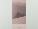 ERP - Afterimage - FORGOTTEN FUTURE LP 001 - Electro, Techno, Ambient 2x Vinyl