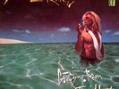 David Lee Roth ‎– Crazy From The Heat  +  Van Halen concert poster, Indianapolis