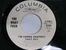 RARE Garage 45 by the What Four I'm Gonna Destroy That Boy