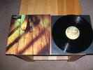 ELIZABETH FRASER COCTEAU TWINS MOSES 12