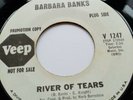 Barbara Banks - VEEP Promo - River of Tears / Living In The Past - Northern