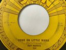 Rare Rockabilly 45/ Ray Harris 