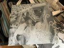 Bjork Vespertine and Homogenic Ltd Edition Color Vinyl Bundle LP 2015 Rare