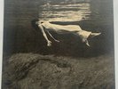 Bill Evans LP 