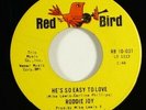 Roddie Joy 