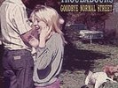 TURNPIKE TROUBADOURS-GOODBYE NORMAL STREET VINYL LP NEW