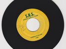 S.R.S./ SIDEWALK KILLER  -  I ROY (72 REGGAE ROOTS 7