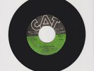 CAT/ COLLIE ROCKERS  -  CHOKEY TAYLOR with SWAMP BAND (70'S REGGAE ROOTS 7