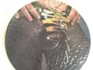 W.A.S.P. ANIMAL (F*CK LIKE A BEAST) EP PICTURE DISC