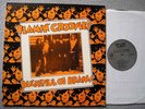 LP  Flamin' Groovies  Bucketful of Brains  VOXX