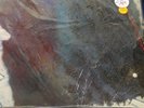 Brian Eno Harold Budd LP The Pearl w/ Daniel Lanois Vinyl Record w/ Shrink