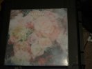 Craft Spells 2 Vinyl LPs Idle Labor New Nausea EX