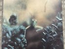 Steely Dan Katy Lied Original 1975 ABCD-846 LP Rare German Import White Label NM