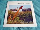 WALTER TROUT - Common Ground - RARE 2010 USA Vinyl LP PRD 73021 MINT/NEW/SEALED