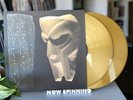 MF DOOM - Born Like This - Vinyl Me, Please EXCLUSIVE - Ltd Numbered 2LP - Gold