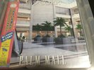 ? ? Cat System Corp - Palm Mall Vinyl LP Mall Fountain BLUE, /250 First Pressing