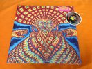The Dream Syndicate Universe Inside Rock LP NEW Vinyl 2020 Piranha Records