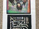 The Undertones LP 1979 Sire SRK 6081 Teenage Kicks/Rezillos/Buzzcocks/999 PUNK