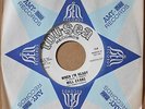 MILL EVANS Tryin To Find A Home *WHEN I'M READY* New Orleans Soul 45 TOU-SEA 128