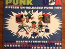 Punk USA LP Comp Lookout Punk face to face screeching weasel Jawbreaker Queers