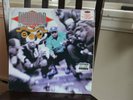 Stunts Blunts & Hip Hop (dbl LP) by Diamond and the Psychotic, rap, hip-hop