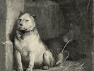 Pavlov`s Dog-Pampered Menial (1LP Coloured) (UK IMPORT) VINYL NEW