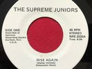 THE SUPREME JUNIORS   RISE AGAIN   RARE PRIVATE BLACK GOSPEL SOUL 45 DURHAM, NC