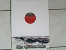 ROR ROCK O RAMA ISD REBELLES GB S. S.-WHEN THE STORM...RED LP VINYL