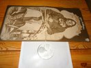 IAN MATTHEWS - TIGERS WILL SURVIVE (VEL-1010) / USA FOC-SWIRL-LP 1971 (EX)