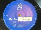 Big Vern, Evil Ed, Ram & Flight ?– Ruffer Than A Lion / Digital Maximum RARE 12