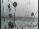 Recondite - Placid 2 x LP - Vinyl Album SEALED Acid Techno Record