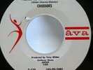 CHARADES 45 Please Be My Love Tonight /Turn Him Down AVA doowop VG++  kz 283