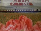 The Hush Sound Goodbye Blues RARE Vinyl LP - 2008, Fueled by Ramen
