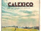 CALEXICO - THE THREAD THAT KEEPS US (LIMITED 2LP DELUXE EDITION)