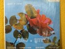 OTTO DE ROJAS - El Jibarito-Descarga De Cueros  hEaR It  LAtin Jazz PIANO latin