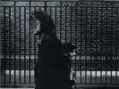 ID274z - Neil Young - After The Gold Rush - RS 6383 - vinyl LP