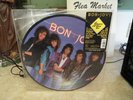 Bon Jovi Slippery When Wet Picture Disc LP VINYL ALBUM