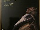 Sun Ra The Other Side Of The Sun Lp Vinyl Near Mint  Usa Reissue 180 Gram