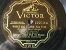 GEORGE OLSEN What Do I Care/South Sea Rose VICTOR 22213 Ethel Shutta E 10