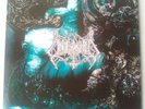 UNLEASHED - ACROSS THE OPEN SEA (PIC DISC) 2016.DEATH METAL.