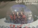 VERY RARE THE DAMNED LOVELY MONEY ITALIAN, DIFFERENT SLEEVE