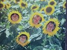 Sunnyboys - Individuals.1982 Aussie First Pressing Gatefold Cover LP. M- / EX