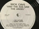 Nick Cave & the Bad Seeds: And the Ass Saw the Angel 12