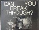 Can You Break Through ? Skene Compilation Record Green Day Bad Trip